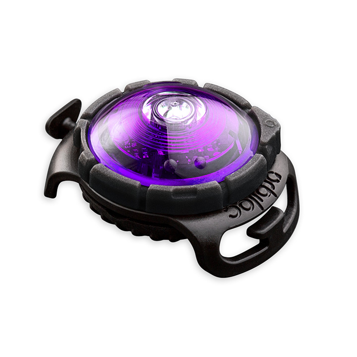 Orbiloc Purple LED světlo na obojek