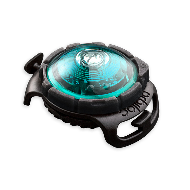 Orbiloc Turquoise LED světlo na obojek