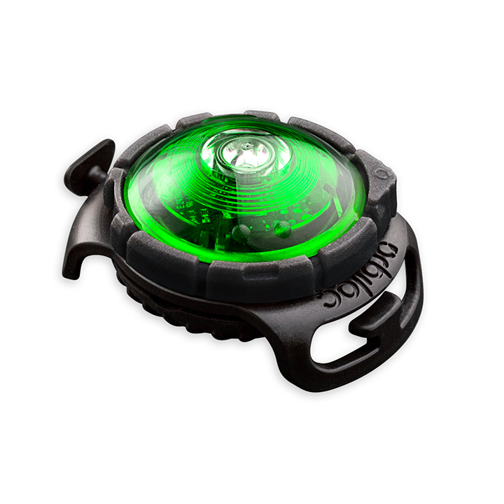 Orbiloc Green LED světlo na obojek