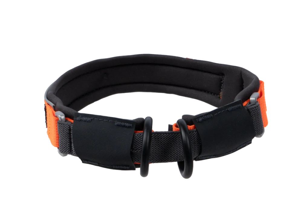 Protector collar